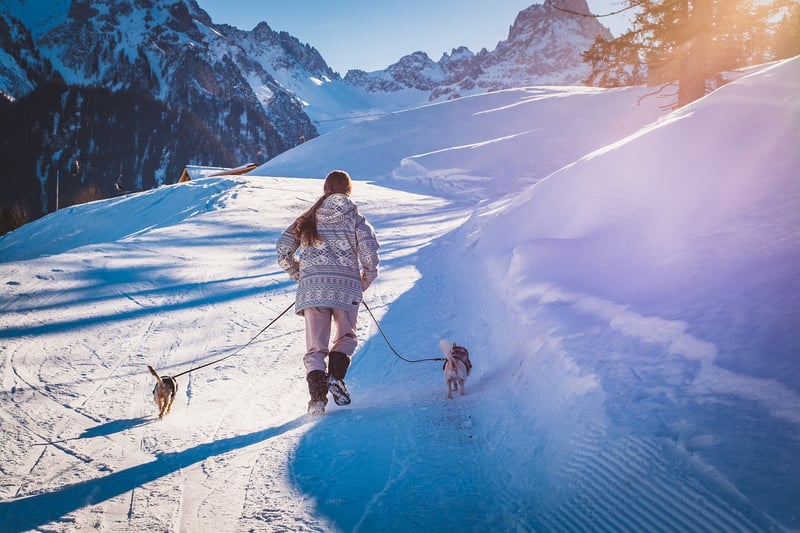Mindful Walking in Nature