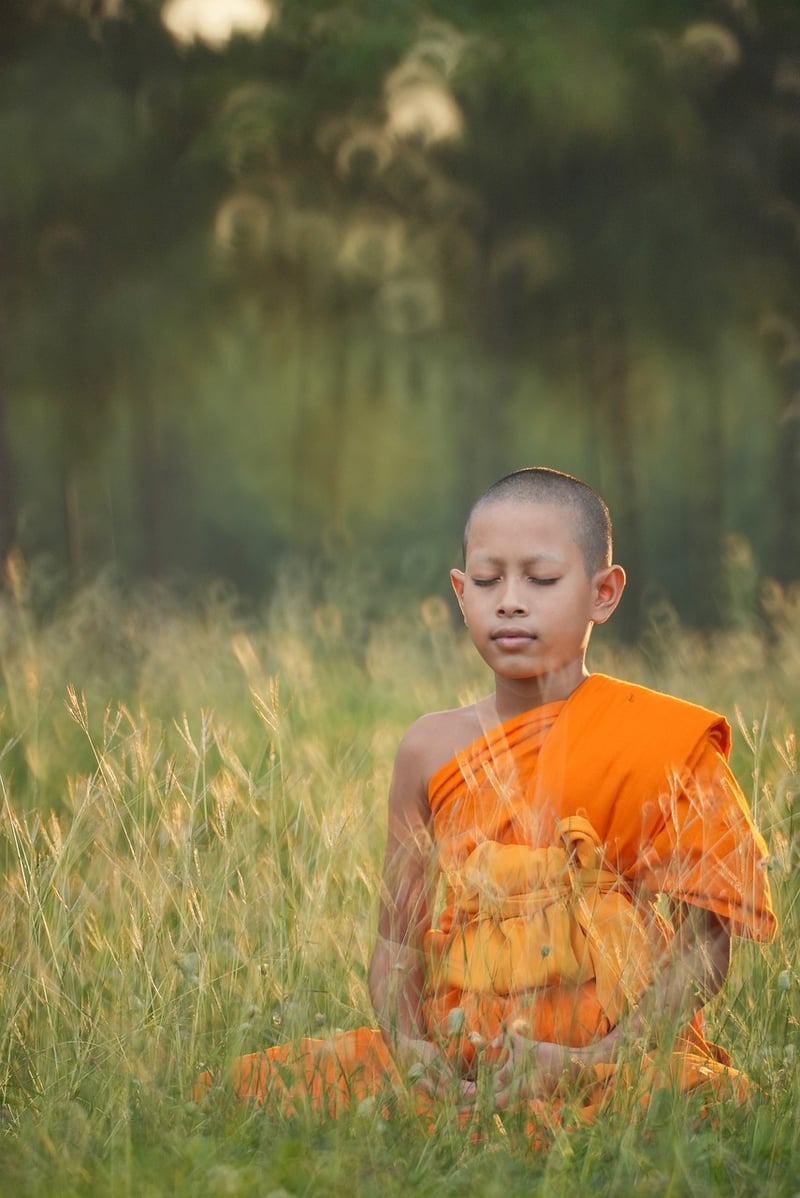 Yoga blend image